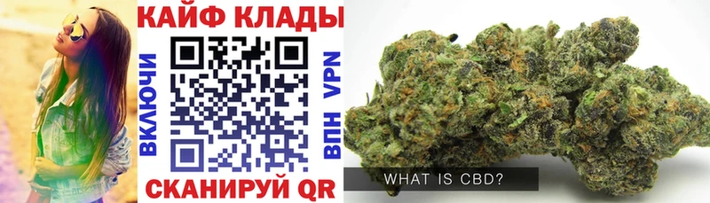 Где купить Камышлов Cocaine  Alpha-PVP  Канабис  ГАШИШ 