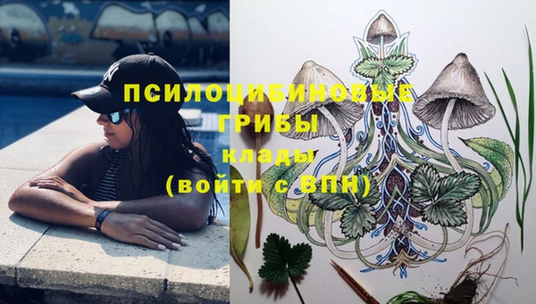 крисы Зеленодольск