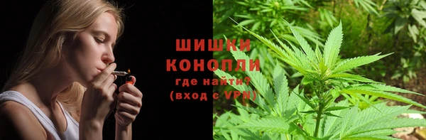PSILOCYBIN Зерноград