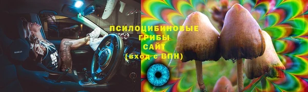 крисы Зеленодольск