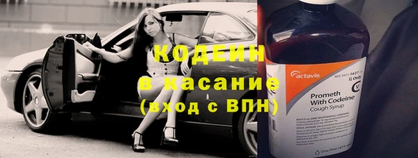 крисы Зеленодольск