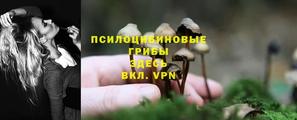 PSILOCYBIN Зерноград