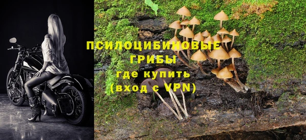крисы Зеленодольск