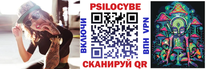 Псилоцибиновые грибы Psilocybe  Камышлов 