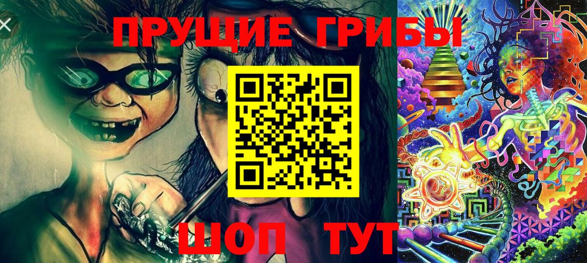 наркошоп  Вход с VPN  Камышлов  Псилоцибиновые грибы мицелий 